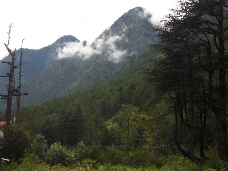 Travel - India - Himachal Pradesh - Parvati Valley - Kassol